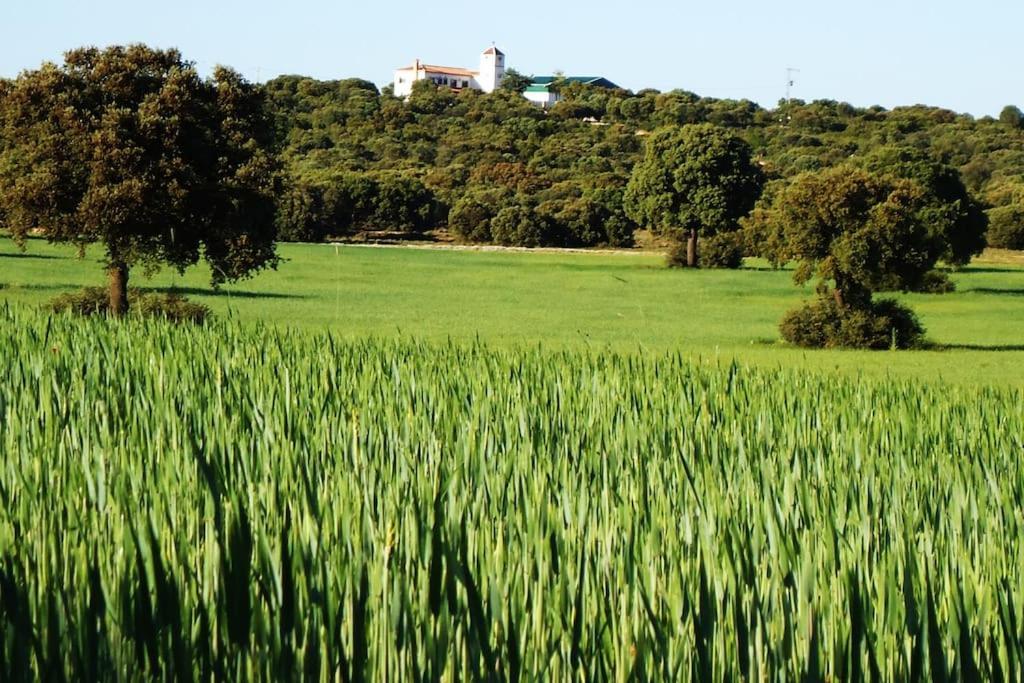 Villa Cerro Moreno Ossa de Montiel Zewnętrze zdjęcie