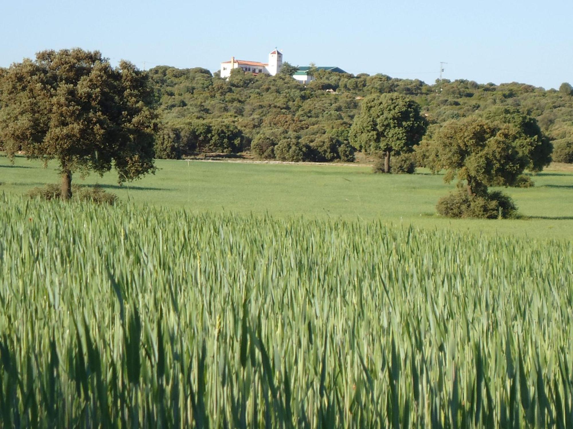 Villa Cerro Moreno Ossa de Montiel Zewnętrze zdjęcie