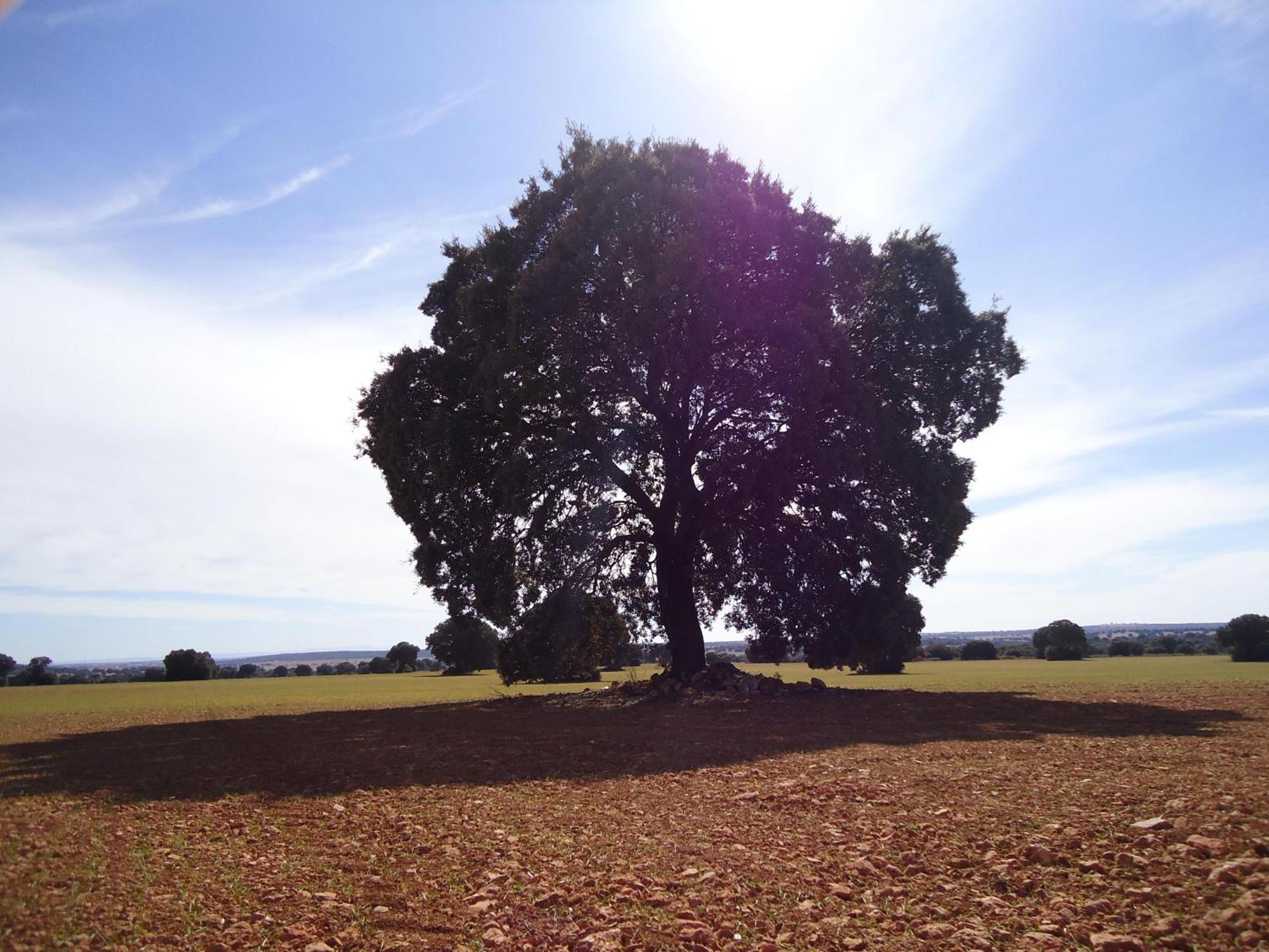 Villa Cerro Moreno Ossa de Montiel Zewnętrze zdjęcie